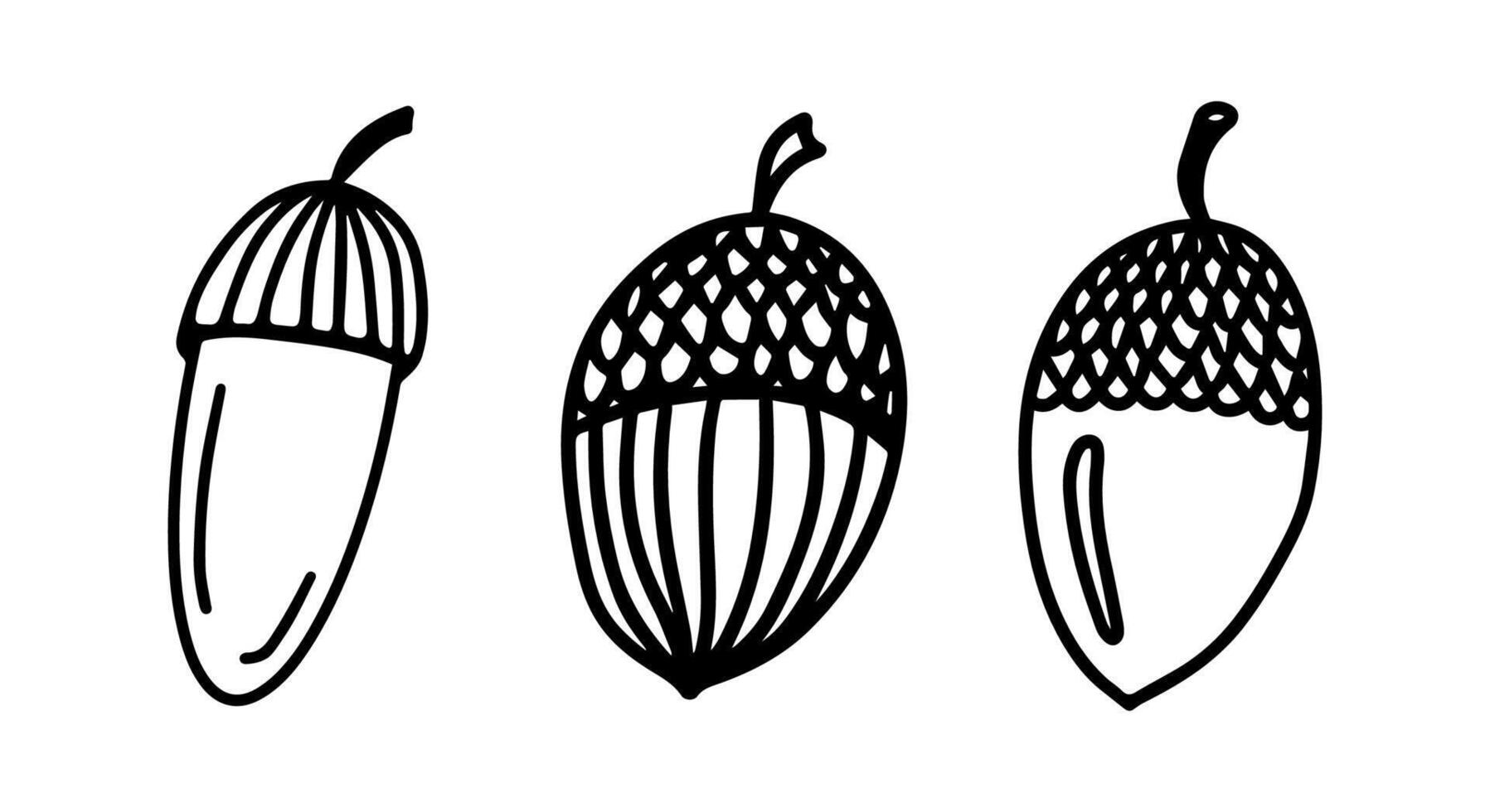 acorn, oak fruit isolated on white background icon. Illustration for seasonal design, textile, decoration kids playroom or greeting card, autumn and halloween. Hand drawn prints and doodle. vector