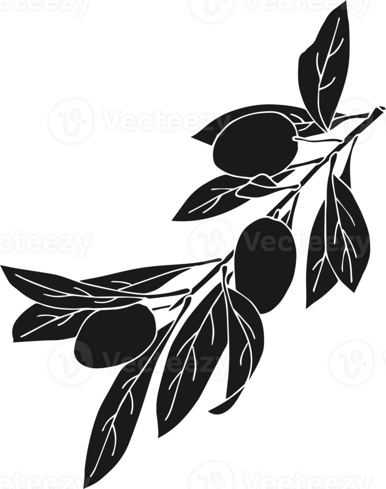 Black icons olive branches, . png