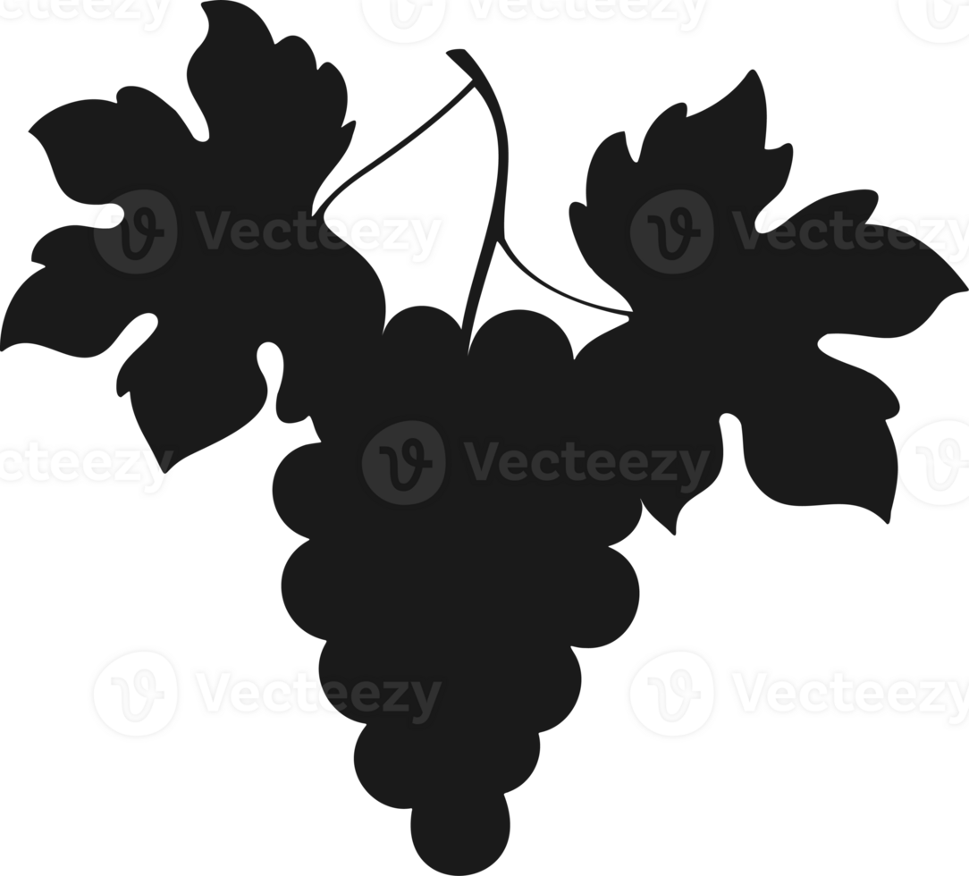 Silhouette of bunch grapes vine, . Element design, logo, icon. png