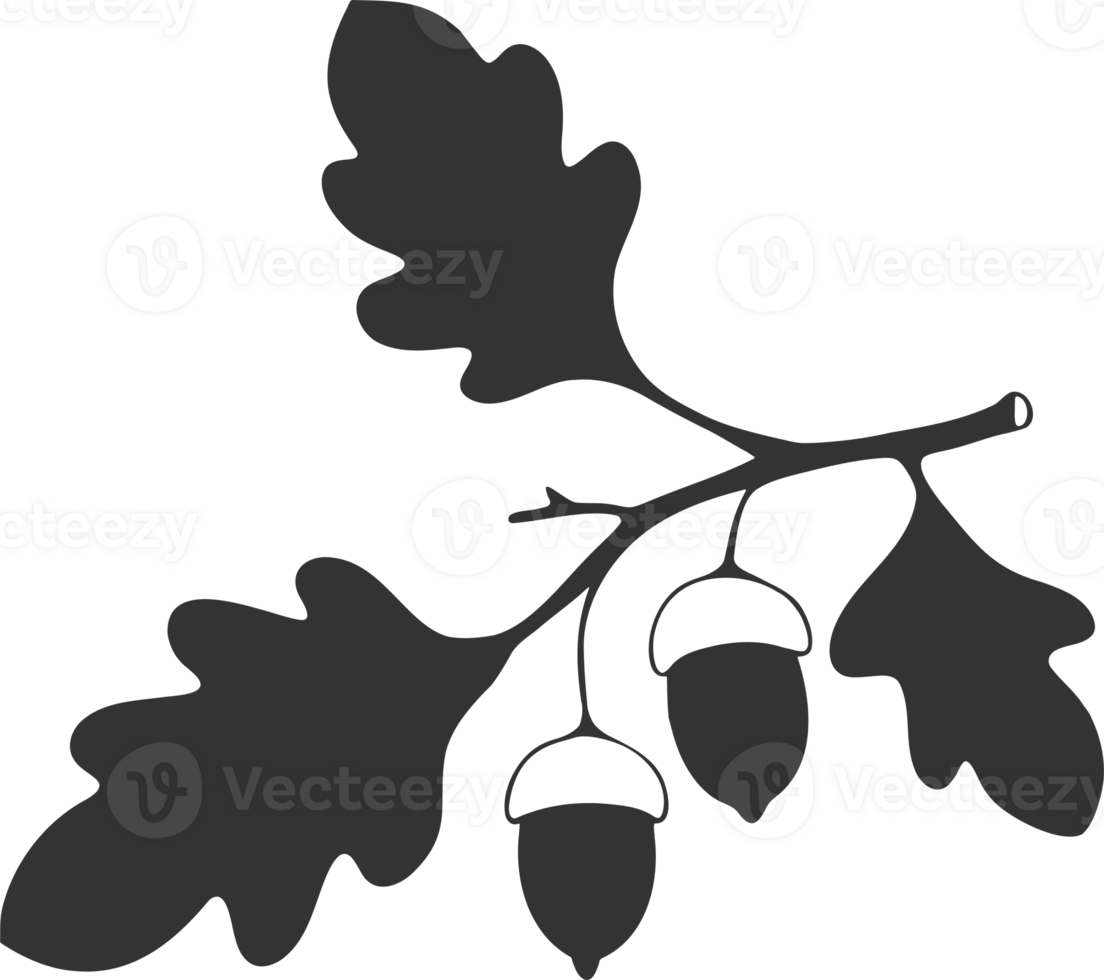 Oak branch with leaves and acorns silhouette drawing png