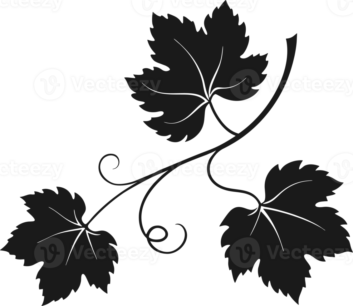 Silhouette of grapevine png