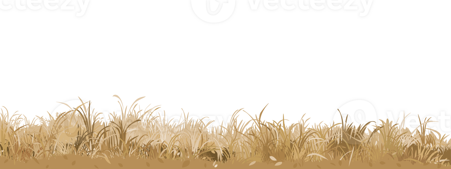 Grass in autumn season isolated flat design graphic illustrated. Gold grass bushes side view object template. png
