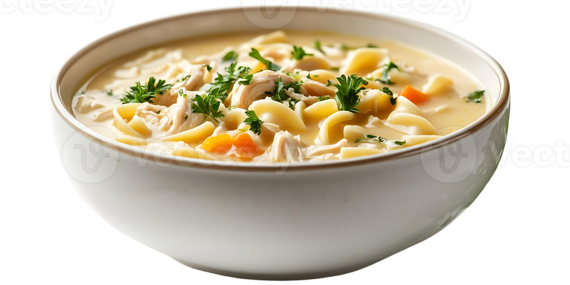 Chicken Noodle Soup with a Deliciously Transparent Background png