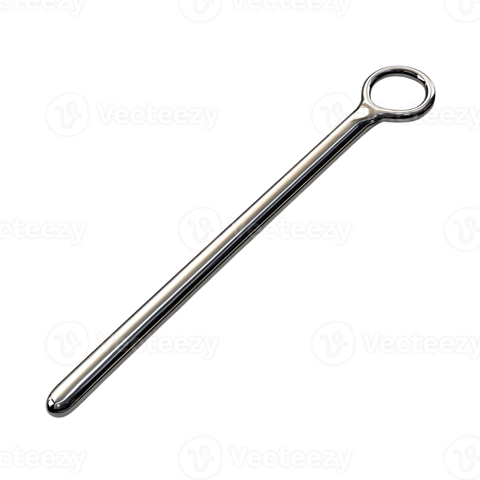 Stainless Steel Rod with Loop Handle, Transparent Background Design png
