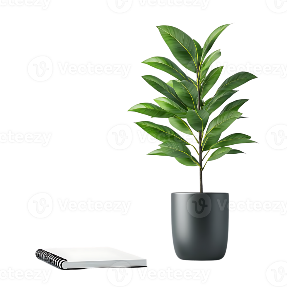A Green Plant in a Black Pot with a Blank Notebook on a Transparent Background png