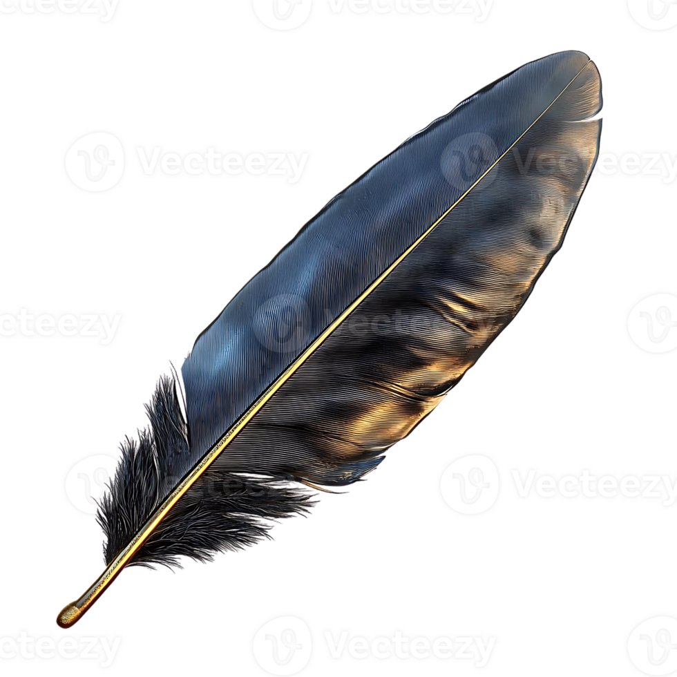 A Single Black Feather with a Golden Stripe, Glowing with Light, on a Transparent Background png