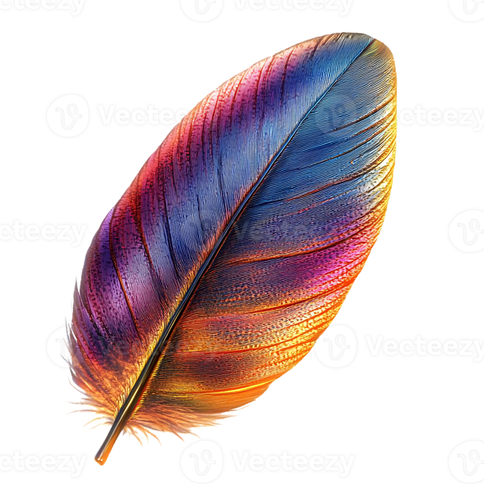 A Single Colorful Feather Isolated on a Transparent Background, Showing Off Its Exquisite Details and Iridescent Hues png