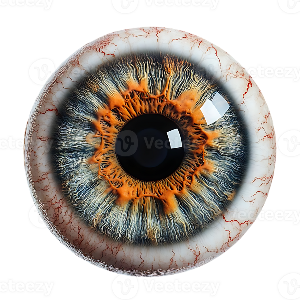 The Eye, a Close-Up View of the Human Iris, Featuring a Vibrant Orange Iris and Detailed Blood Vessels, Isolated on a Transparent Background png