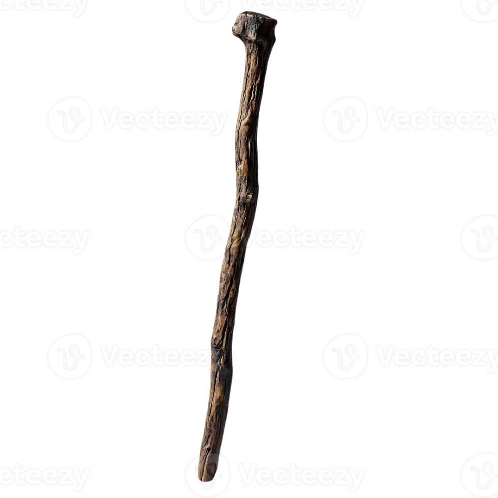 A Single Brown Stick on a Transparent Background png