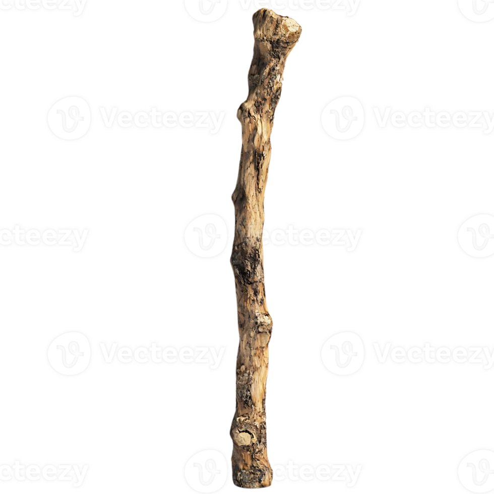A Single Branch with a Transparent Background, Isolated on Black, Showing its Unique Texture and Form png