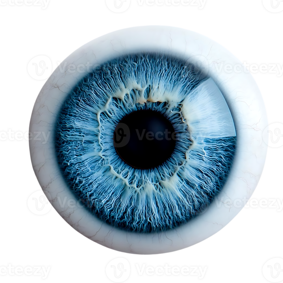 The Blue Eye Gazes Deeply into the Soul, a Transparent Background Reveals Its Intricate Details png