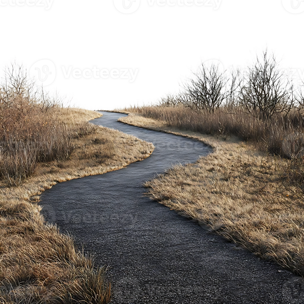 Winding Path Through Tall Grass with a Transparent Background png