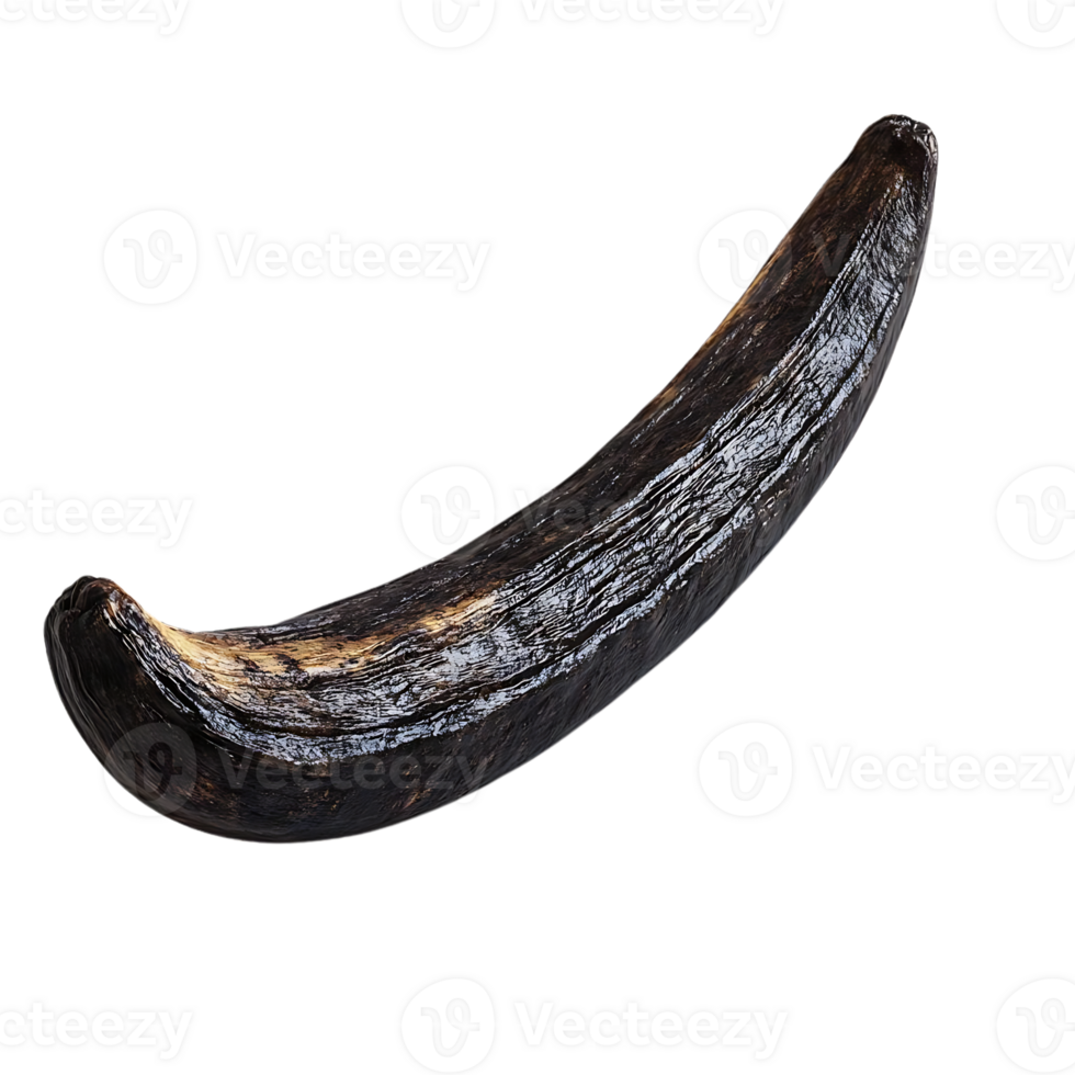 A Single, Dark Brown, Dried Banana Against a Transparent Background png