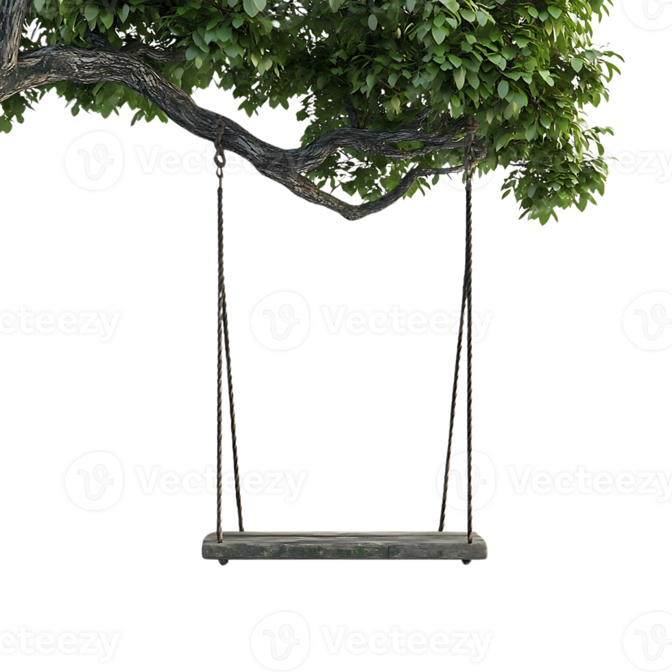 Swinging from a Tree Branch with a Transparent Background png