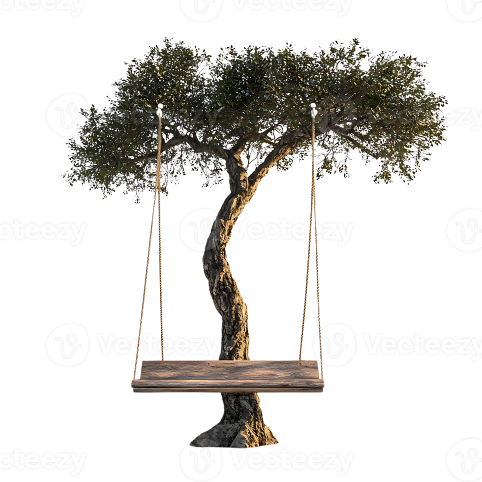 Swinging Underneath a Tree with a Transparent Background png