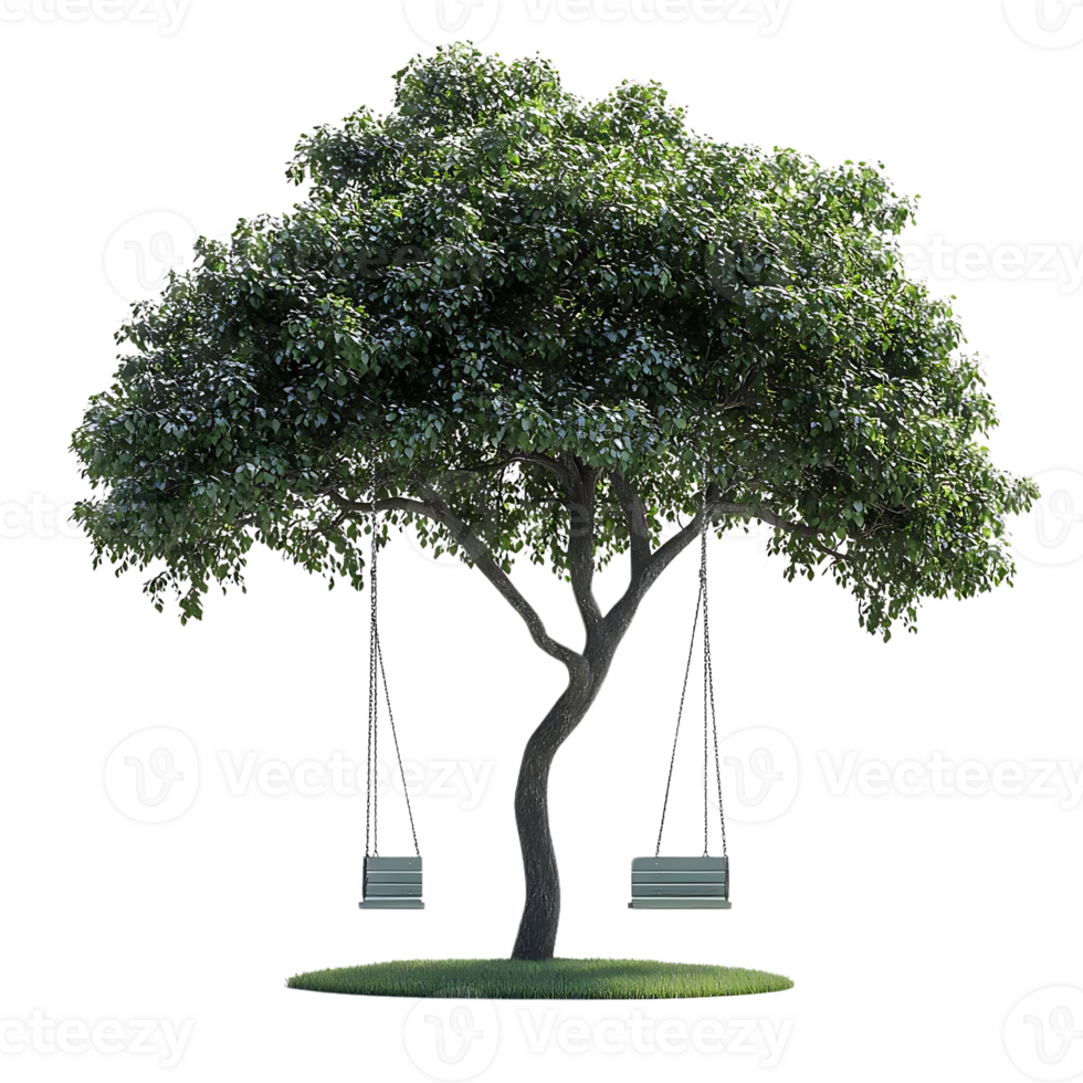 Swinging in the Shade of a Lush Tree with a Transparent Background png