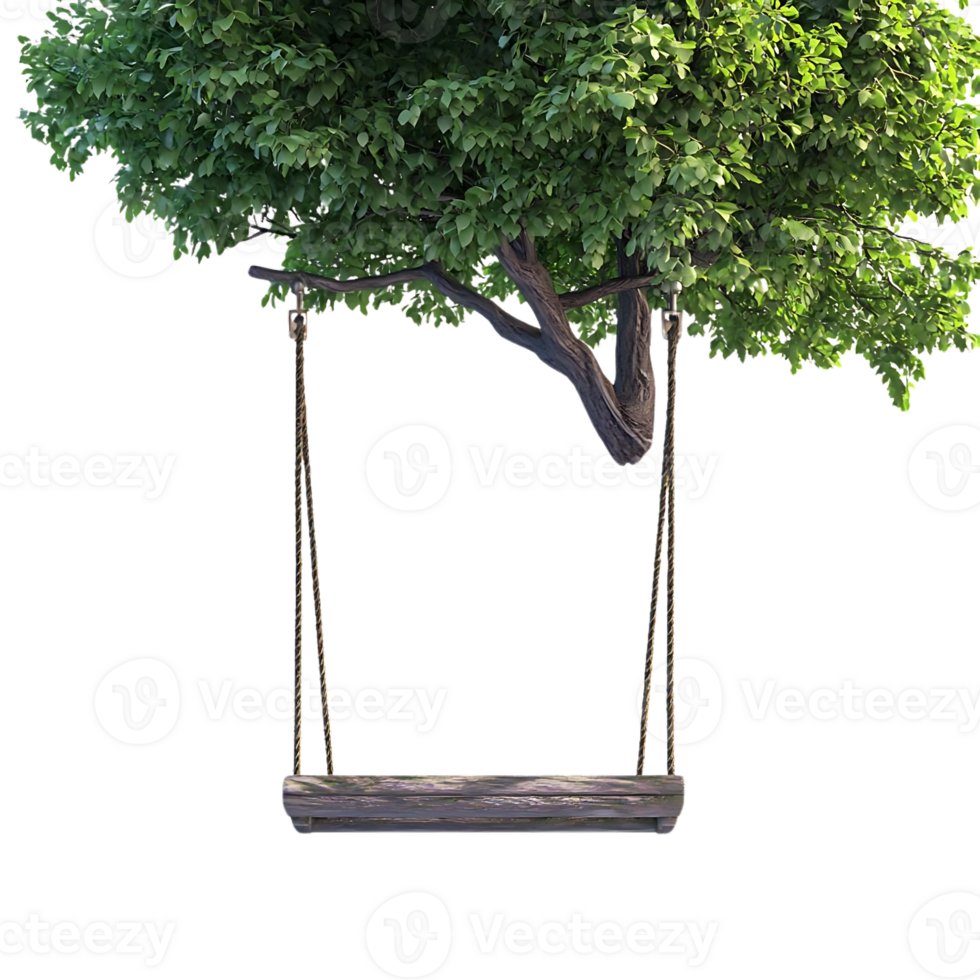 A Wooden Swing Hanging from a Tree Branch with a Transparent Background png