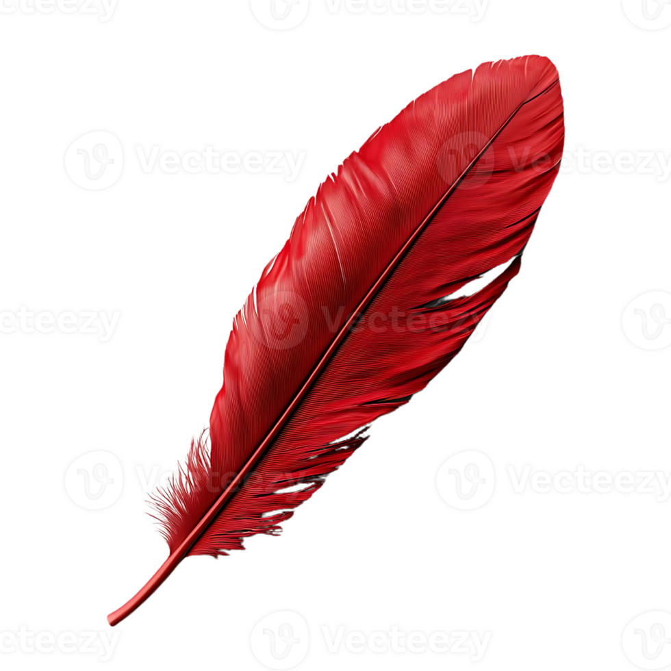 Red Feather Isolated on a Transparent Background, Perfect for Graphic Design Projects and Creative Compositions. png