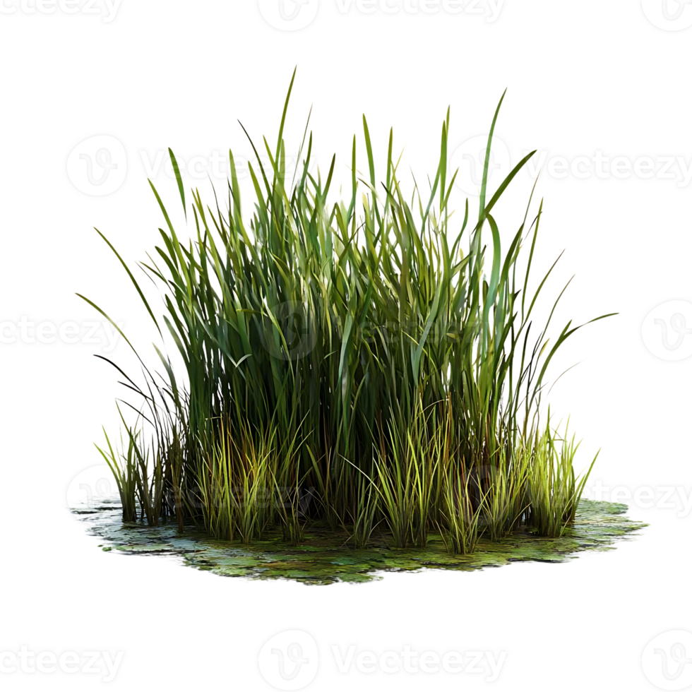 Lush Green Grass Patch with Transparent Background,  Isolated on a Black Background png