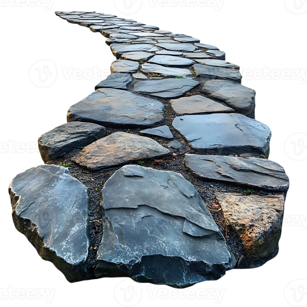 Stone Path Meandering Through Nature with a Transparent Background png