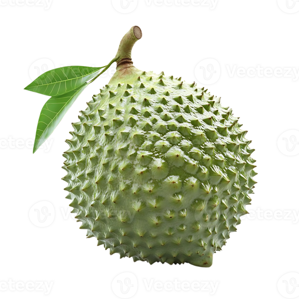 Soursop Fruit with Green Leaves on Transparent Background png