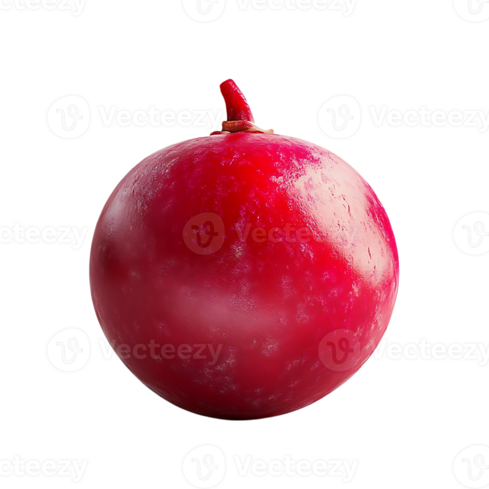 A Single, Vibrant Red Cranberry Isolated on a Transparent Background png