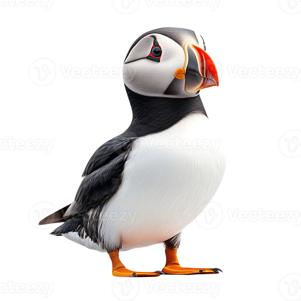 Puffin Standing on a Transparent Background, Isolated Seabird with Colorful Beak png