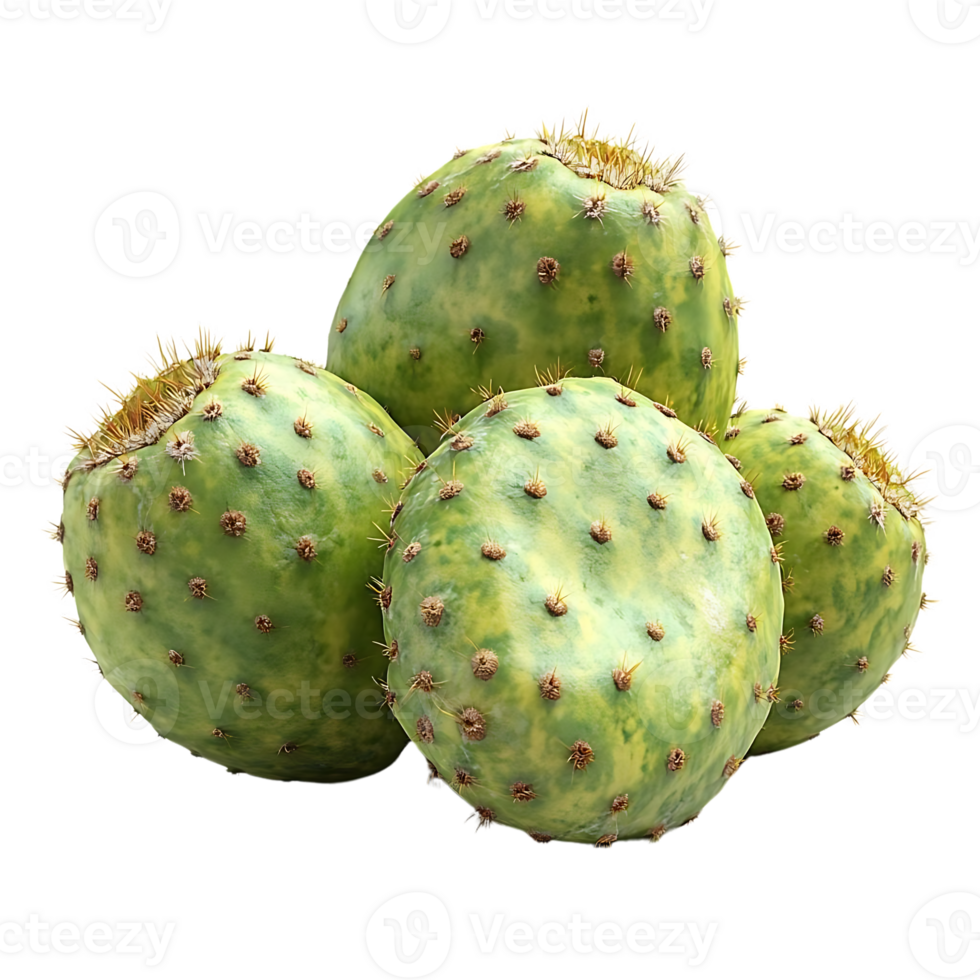 Fresh Prickly Pear Cactus Fruits with a Transparent Background, a Delicious and Healthy Treat png