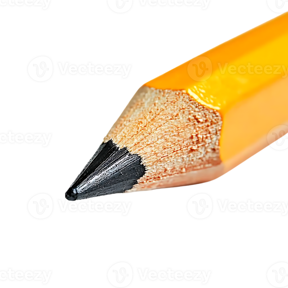 Close Up of a Sharpened Pencil with a Transparent Background png