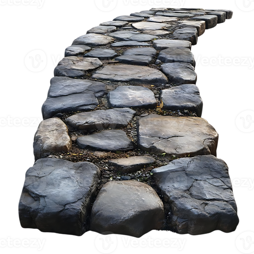 Stone Path Winding Through Nature with a Transparent Background png