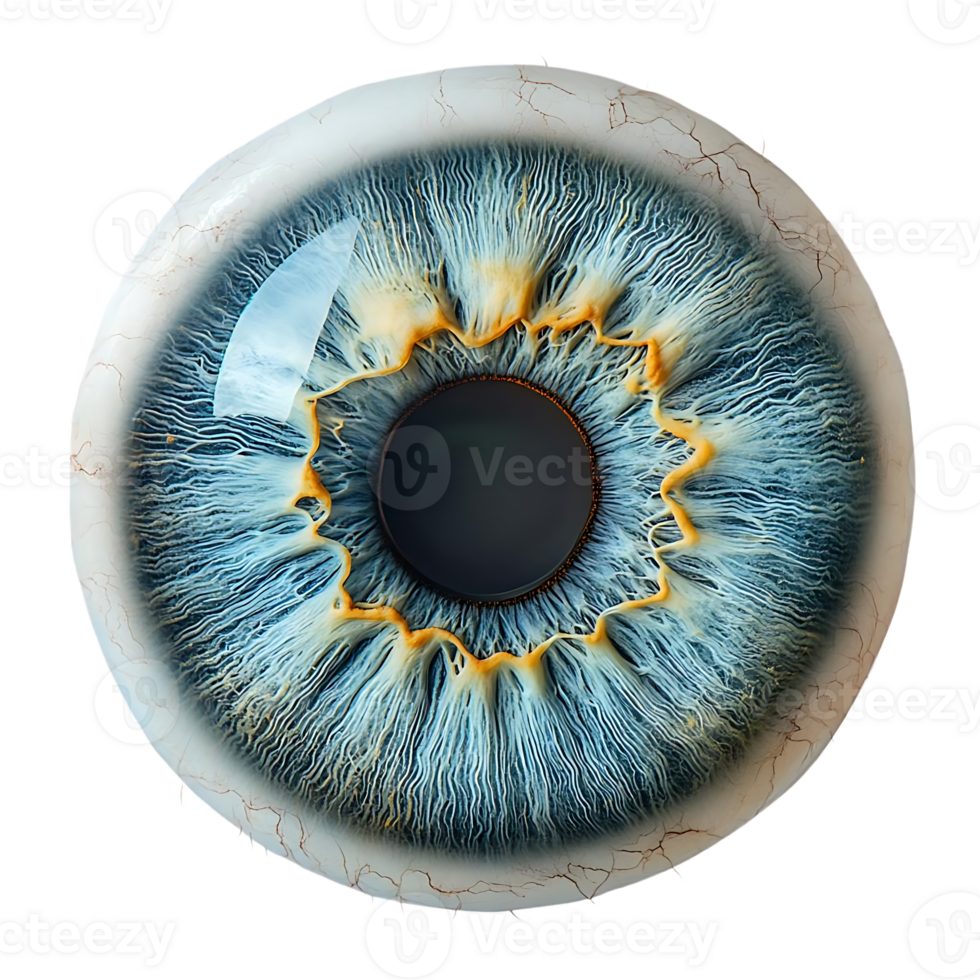 Close Up of a Blue Eye with Transparent Background, Revealing Intricate Details of the Iris, Pupil, and Sclera png