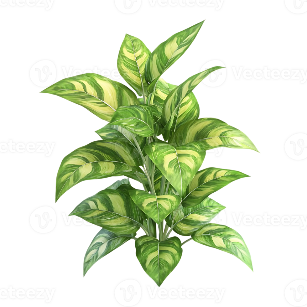 Striped Green Leaves with a Transparent Background, Perfect for Adding a Touch of Nature to Your Designs png