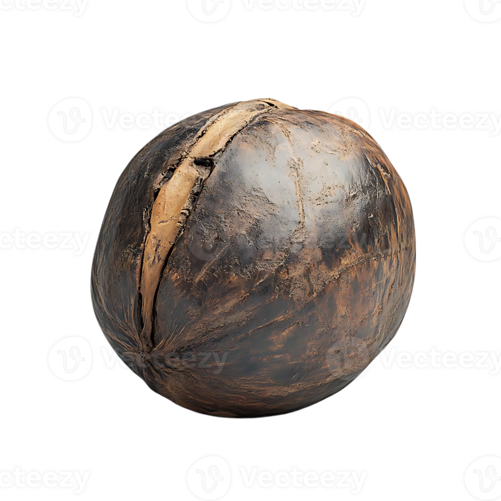 A Close-Up of a Brown Nut with a Crack on a Transparent Background png