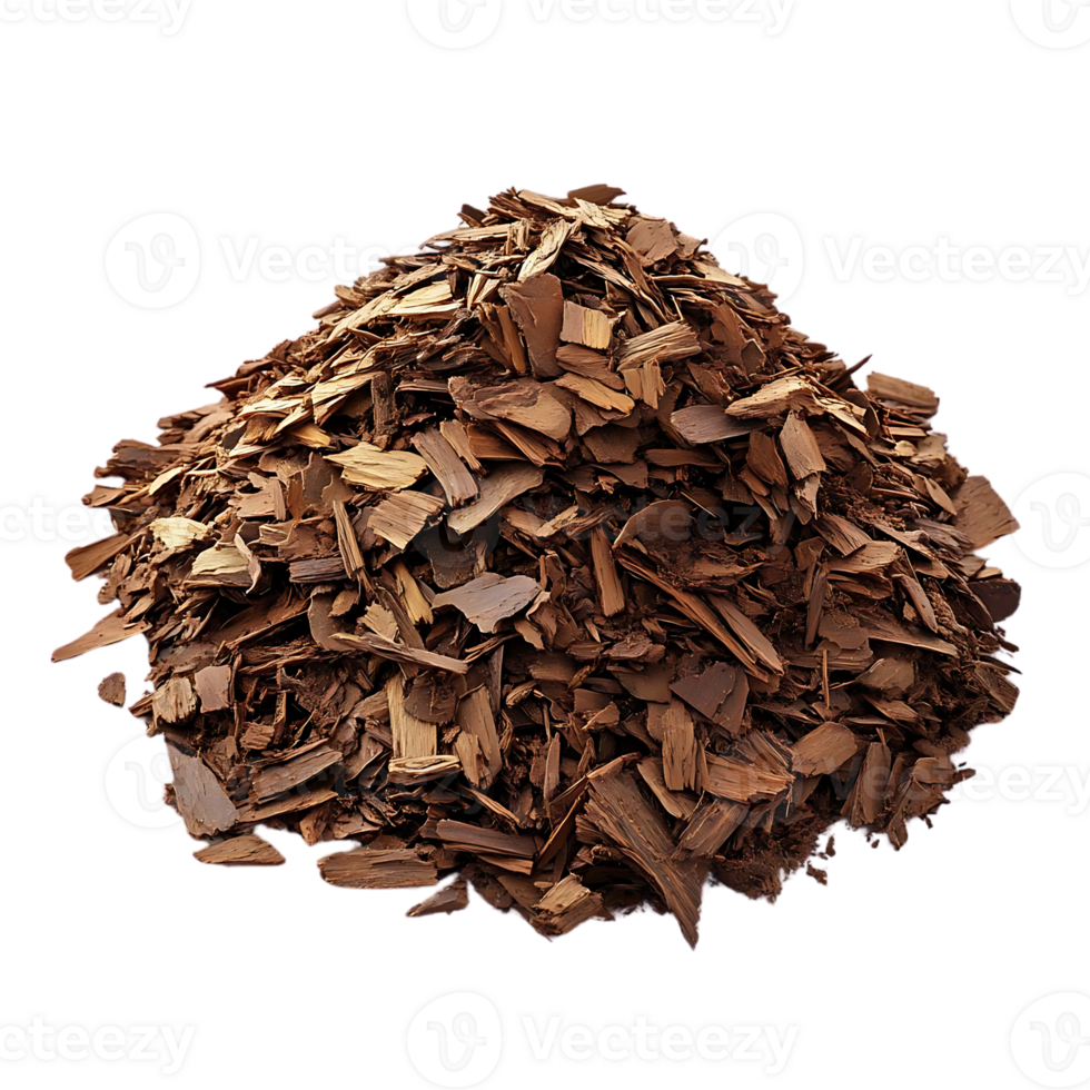 Cinnamon Bark Pieces with a Transparent Background png