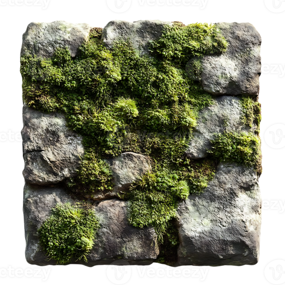 Stone Wall Covered in Lush Green Moss with a Transparent Background png