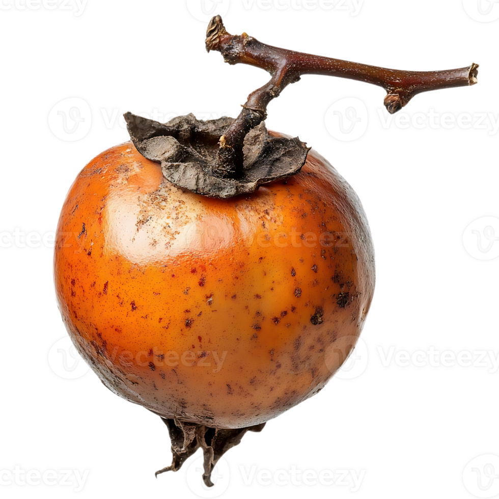 A Ripe Persimmon with a Twig, Isolated on a Transparent Background png