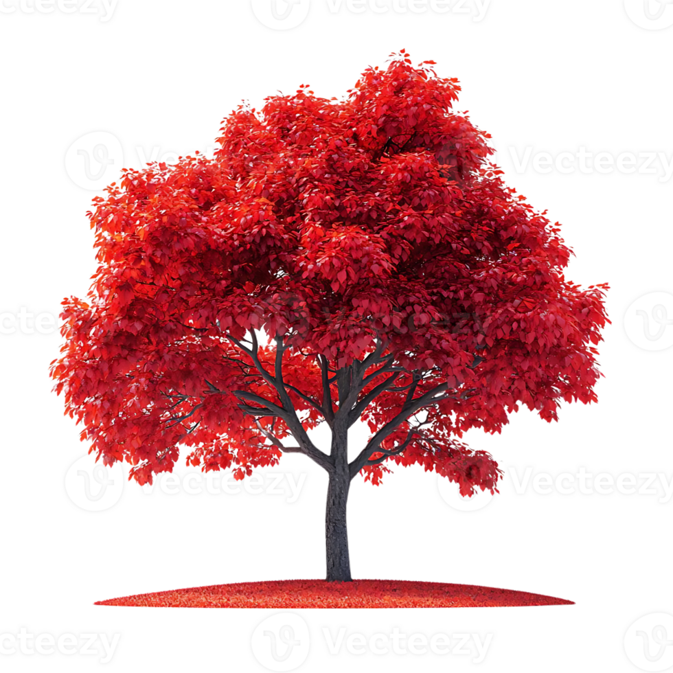 A Vibrant Red Tree Stands Tall with Transparent Background png