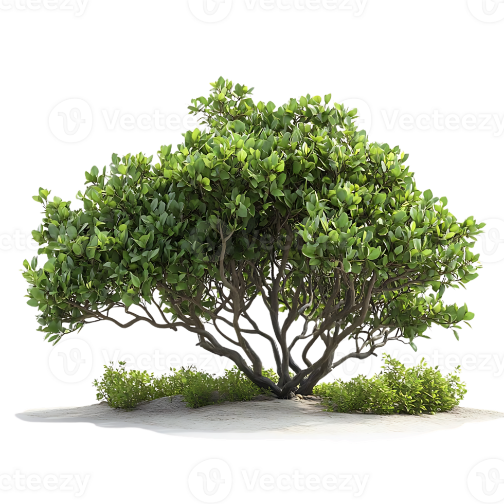 Lush Green Tree with a Transparent Background, Perfect for Landscaping Designs. png