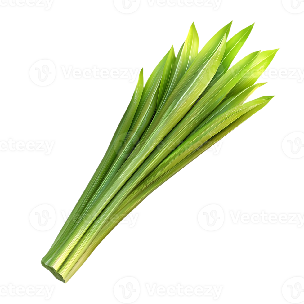 Fresh Green Pandan Leaves with Transparent Background for Culinary and Decorative Purposes png