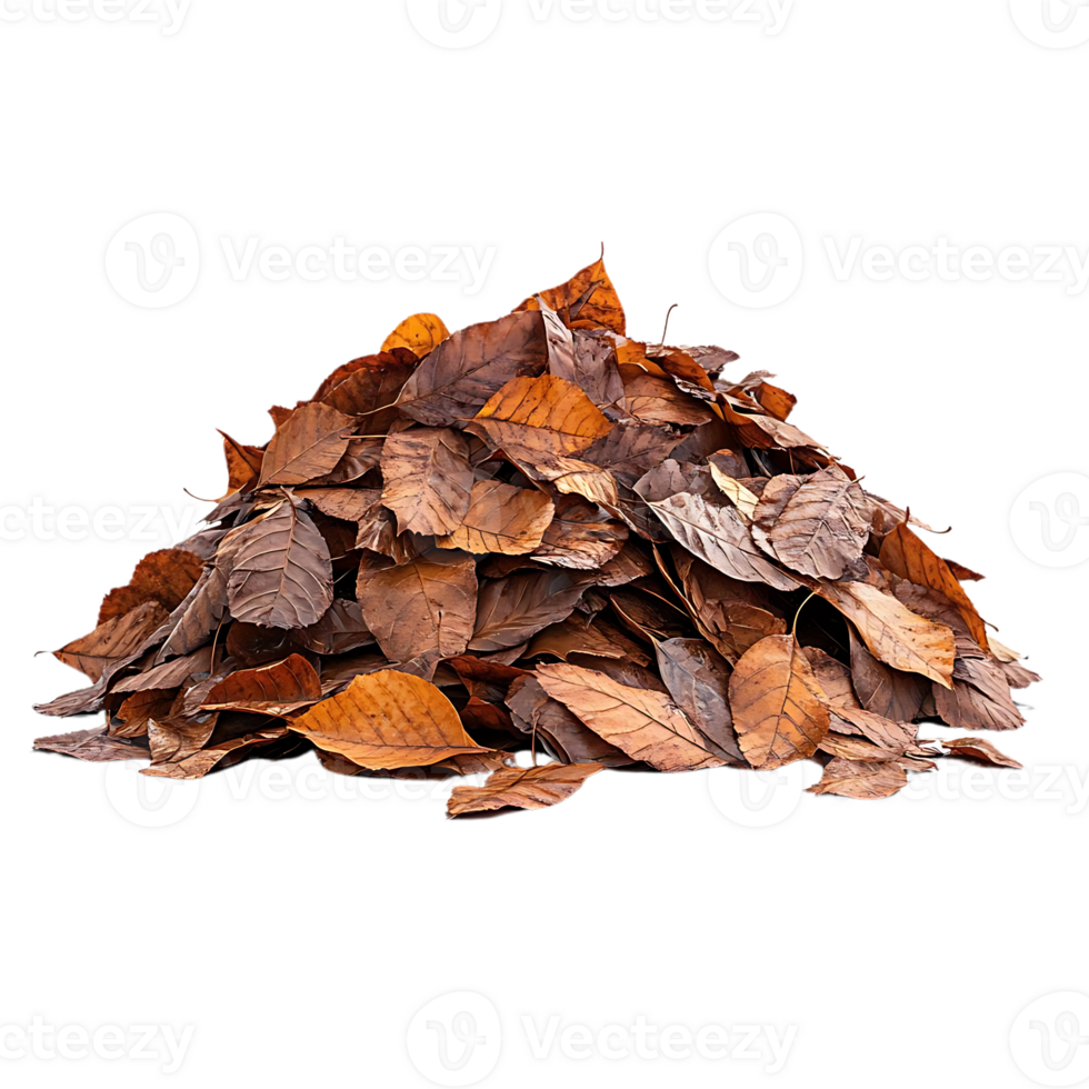 Pile of Brown Leaves on a Transparent Background, Autumn Leaves with No Background png
