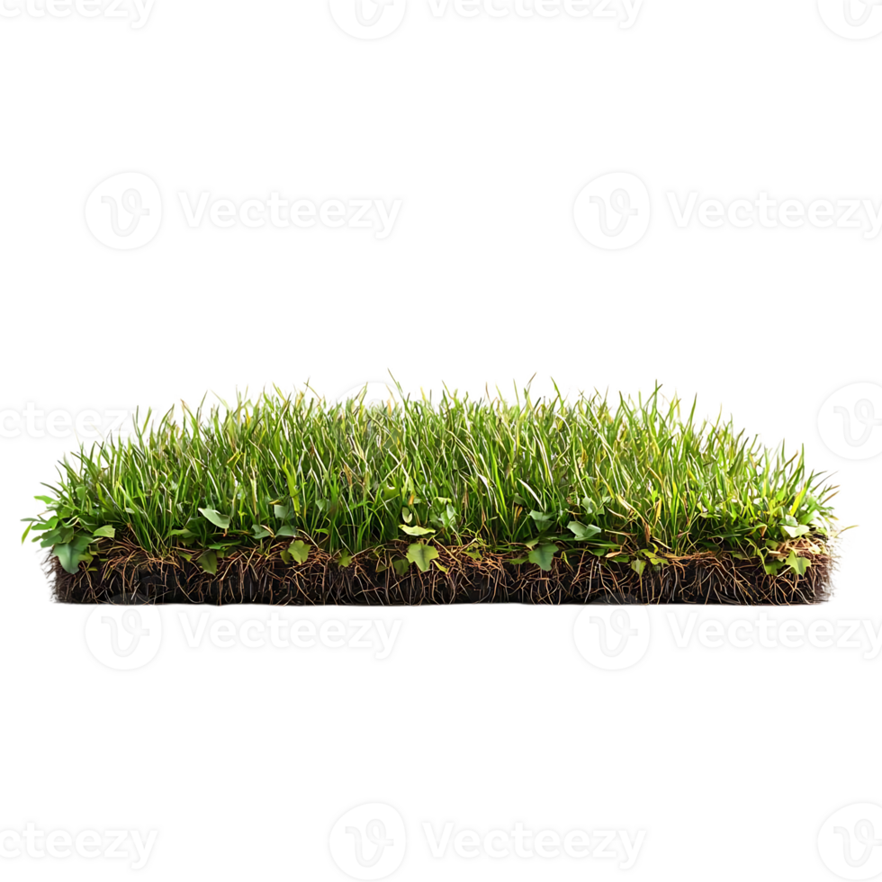 Green Grass Patch with Roots Isolated on Transparent Background