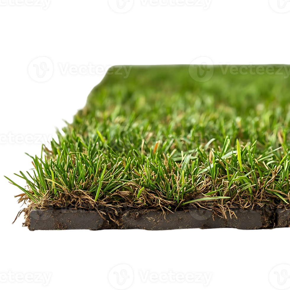 Green Grass with Transparent Background, Perfect for Landscaping, Gardening, and Design Projects png