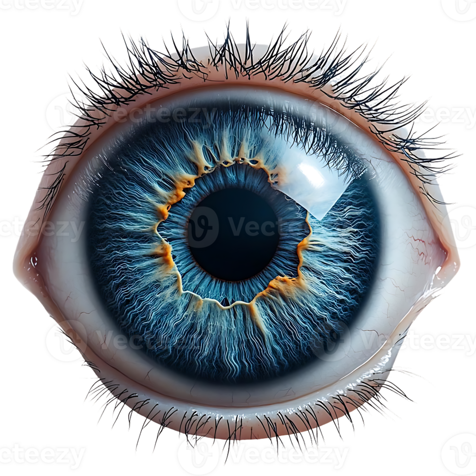 Close-Up of a Blue Eye with a Transparent Background png