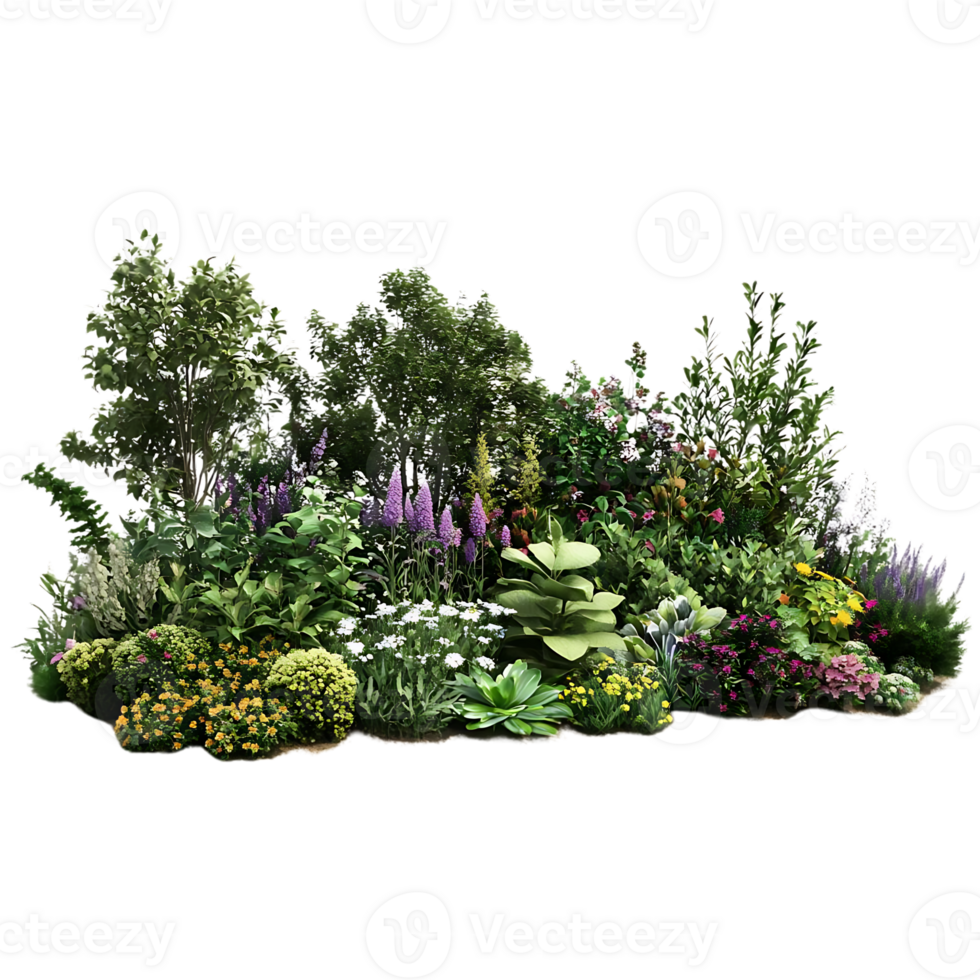 A Lush Garden with Vibrant Blooms and Lush Greenery on a Transparent Background png