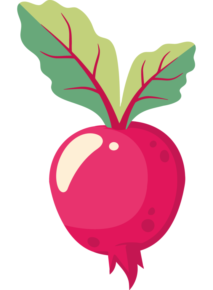 A beet with leaves on it png