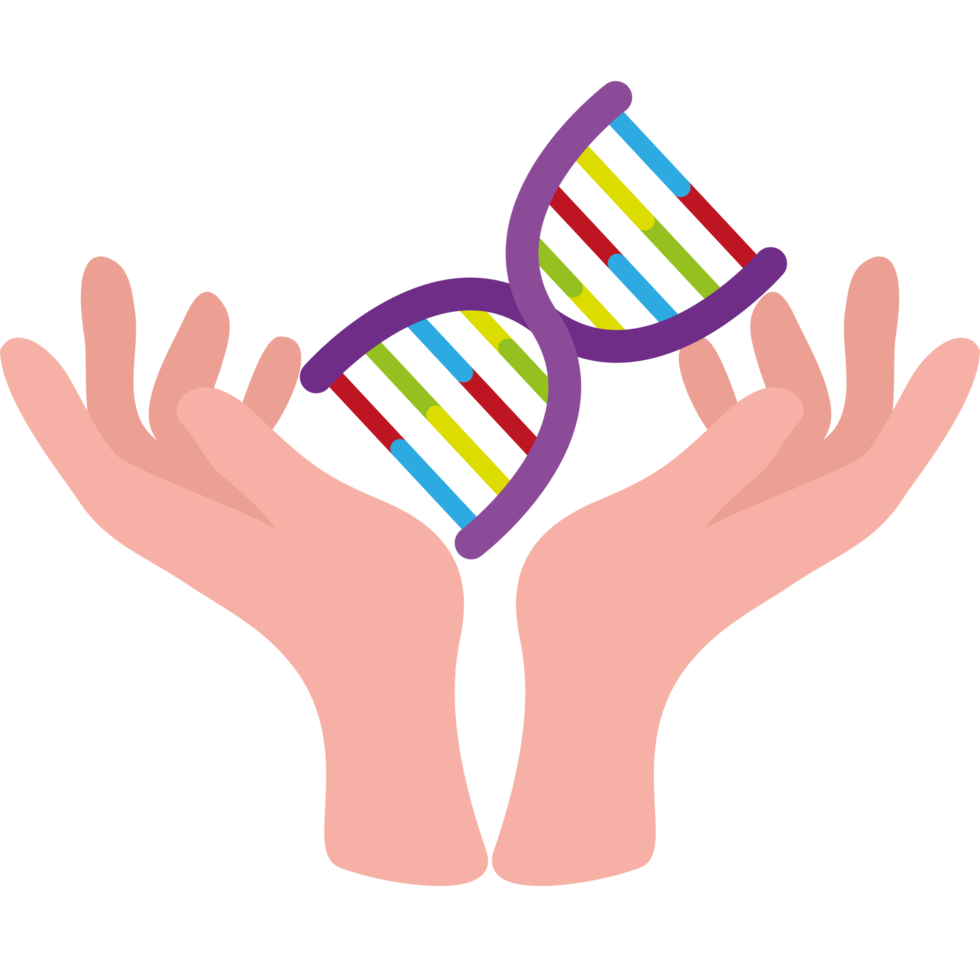 Two hands holding a dna strand png