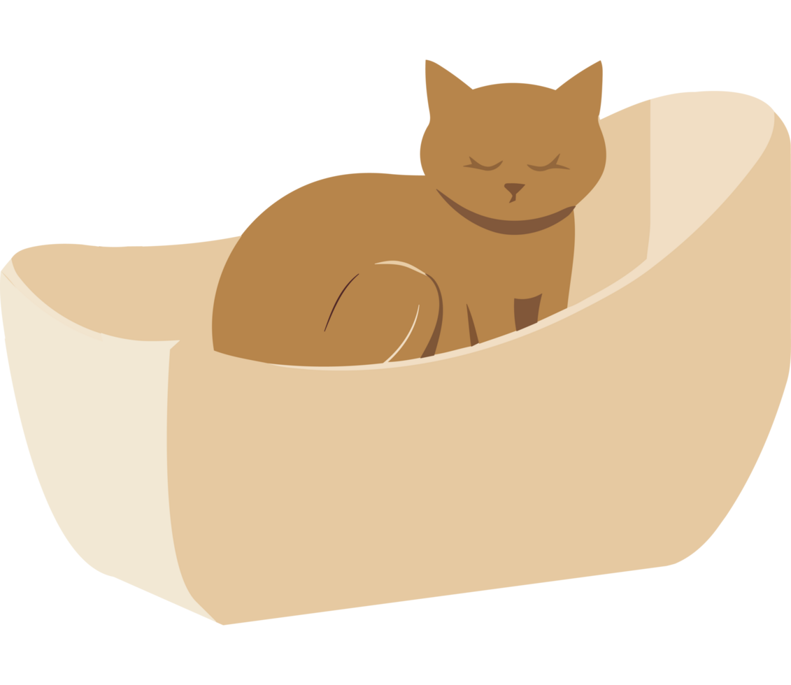 A cat is sleeping in a bed png