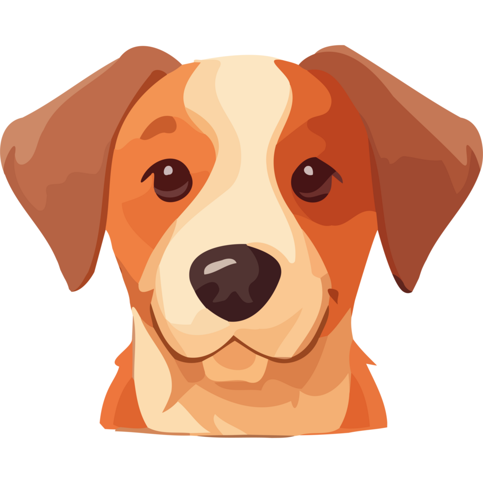 A dog's head with a brown and white face png