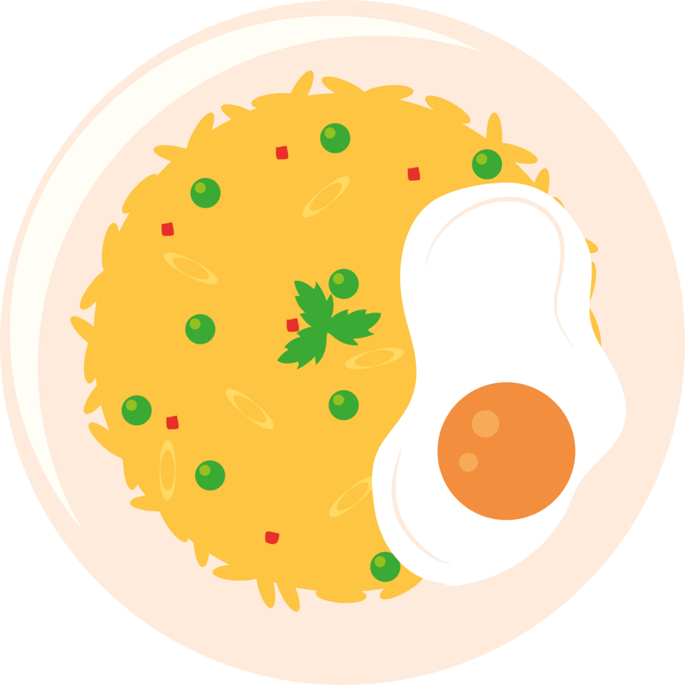 A plate with a fried egg and rice png