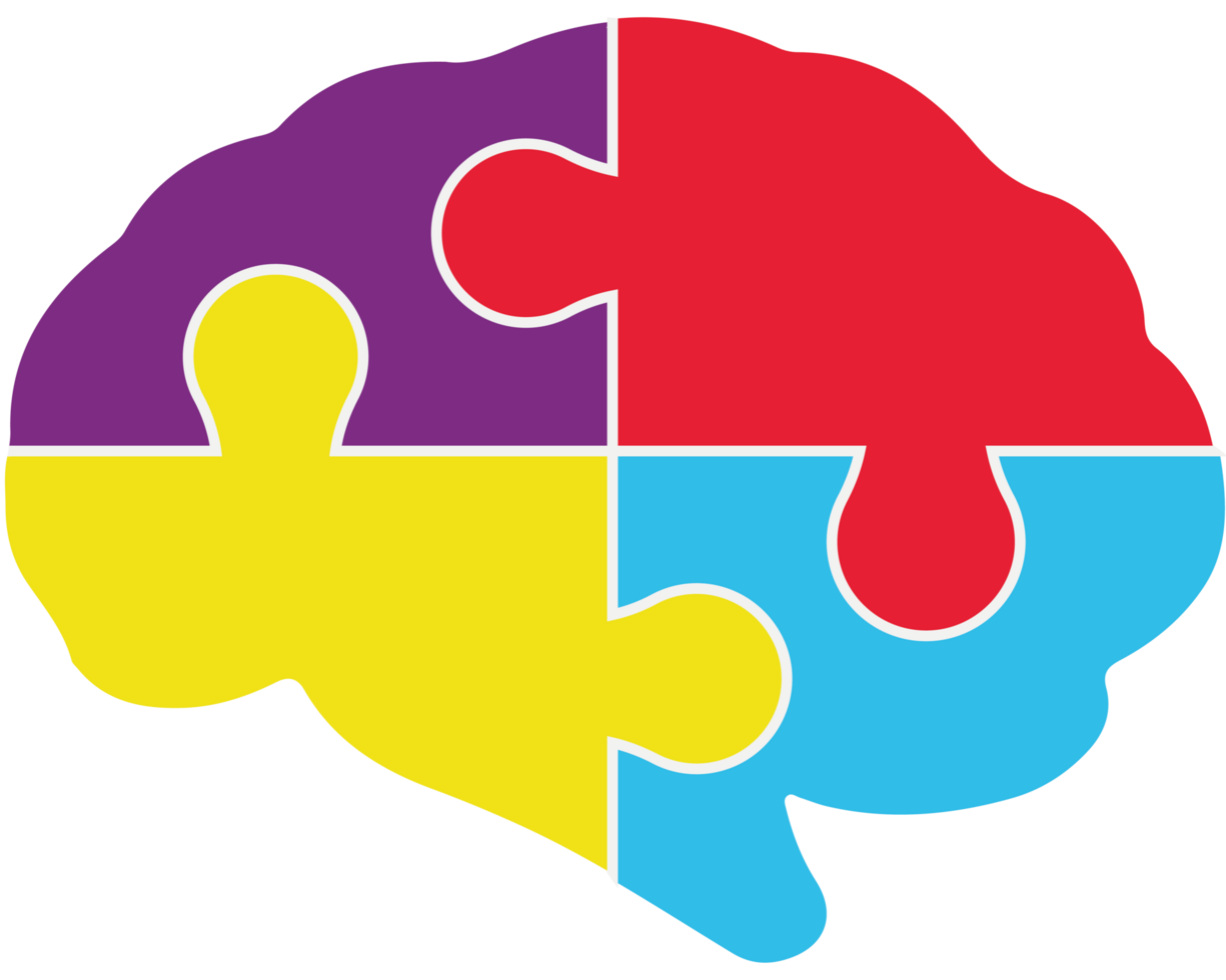 A brain with four pieces of puzzle pieces png
